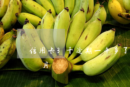 信用卡3千逾期一年多了(信用卡兩千逾期三個月)
