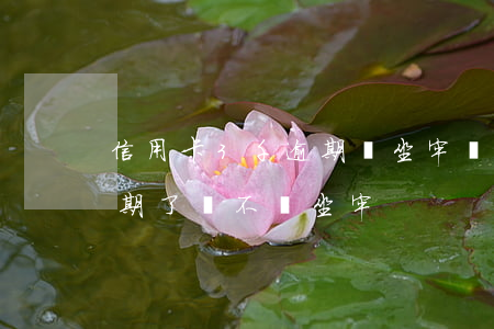 信用卡3千逾期會坐牢嗎(信用卡欠兩三萬逾期了會不會坐牢)