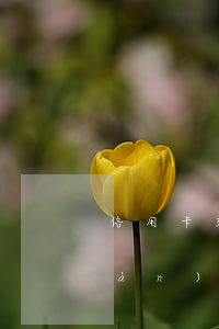 信用卡3千額度不還可以嗎(信用卡3萬(wàn)沒(méi)還會(huì)怎樣)