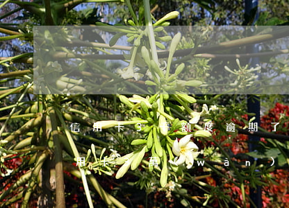 信用卡3千額度逾期了三個(gè)月(欠信用卡3萬(wàn)逾期三個(gè)月)