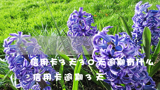 信用卡3天30天逾期有什么區(qū)別(信用卡逾期3天)