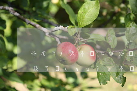 信用卡3天不還上征信嗎(信用卡忘了三天還款了,會(huì)不會(huì)影響征信呢)