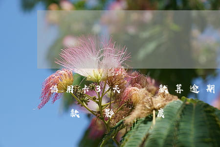 信用卡3天內還款算逾期嗎（信用卡逾期9天還款會影響額度嗎）