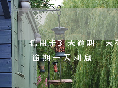 信用卡3天逾期一天有影響嗎-3萬信用卡逾期一天利息