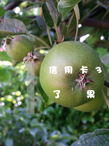 信用卡3年不還什么后果(信用卡3年沒有還了結果會怎么樣)