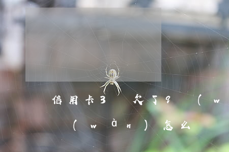 信用卡3張欠了9萬(wàn)(欠信用卡9萬(wàn)怎么辦)
