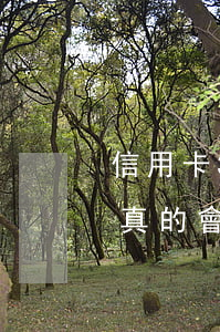 信用卡3月不還后果是什么(信用卡3月沒還真的會報案嗎)
