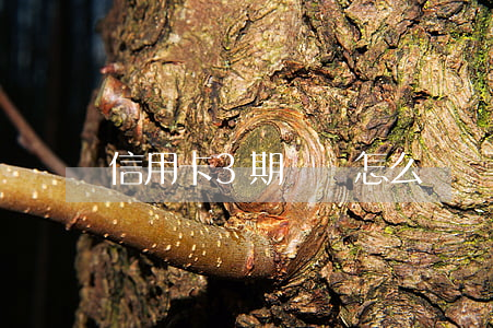 信用卡3期沒還怎么辦