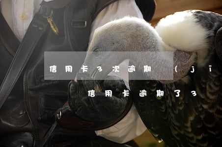 信用卡3次逾期機(jī)會(huì)(好幾張信用卡逾期了3個(gè)月會(huì)怎么樣)