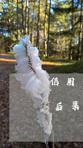 信用卡3萬(wàn)嚴(yán)重逾期后果(信用卡逾期3萬(wàn)塊錢最后結(jié)果是什么)