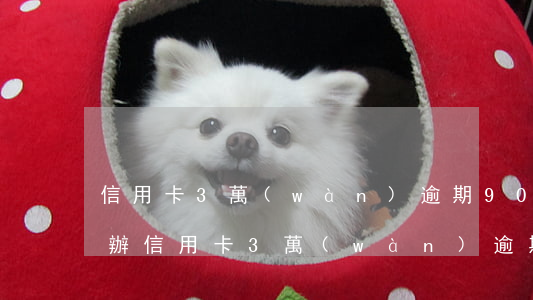 信用卡3萬(wàn)逾期90天以上怎么辦（信用卡3萬(wàn)逾期90天以上）