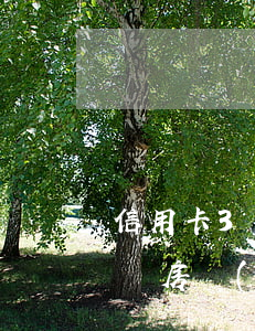 信用卡3萬(wàn)逾期會(huì)拍賣房產(chǎn)嗎三亞（信用卡3萬(wàn)逾期會(huì)拍賣房產(chǎn)嗎）
