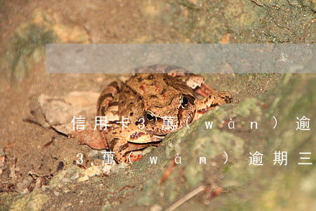 信用卡3萬(wàn)逾期滯納金(欠信用卡3萬(wàn)逾期三個(gè)月)