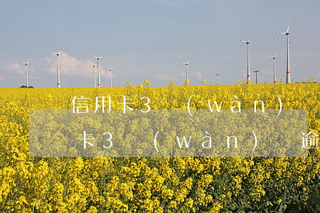 信用卡3萬(wàn)額逾期半年了-信用卡3萬(wàn)額逾期半年了怎么辦