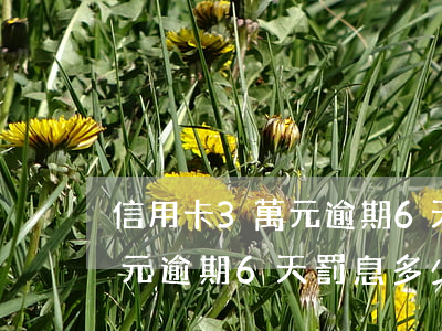 信用卡3萬元逾期6天罰息多少(信用卡3萬元逾期6天罰息多少錢合適)