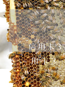 信用卡3萬元逾期滯納金多少錢(我,逾期的信用卡3萬塊錢后果會(huì)怎樣)
