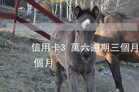 信用卡3萬六逾期三個月(信用卡五千逾期三個月)