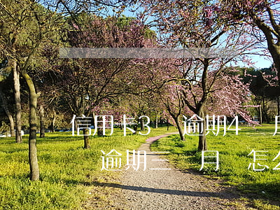 信用卡3萬逾期4個月會坐牢嗎(欠信用卡四萬逾期三個月會怎么樣)