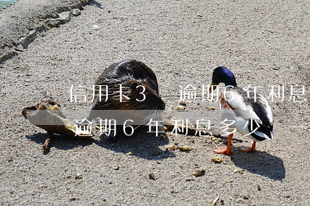 信用卡3萬逾期6年利息多少錢(信用卡3萬逾期6年利息多少錢一個(gè)月)