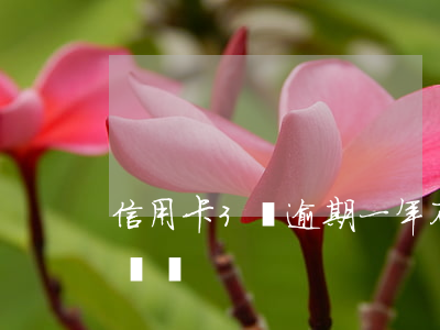 信用卡3萬逾期一年不還(信用卡逾期兩三年沒還)