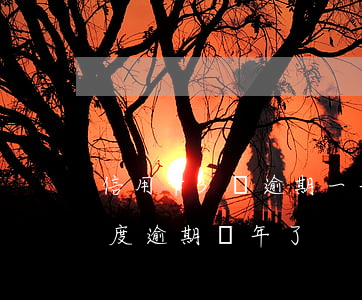 信用卡3萬逾期一年多了（信用卡3000額度逾期兩年了）