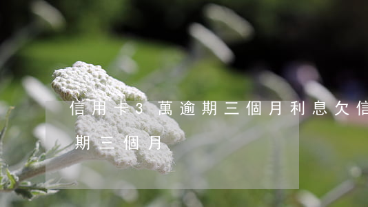 信用卡3萬逾期三個月利息(欠信用卡3萬逾期三個月)