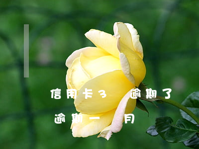 信用卡3萬逾期了幾個月來抓人(信用卡3千逾期一個月)