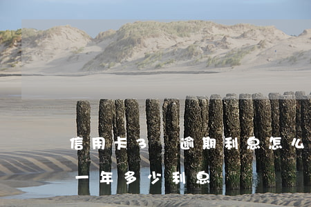 信用卡3萬逾期利息怎么算(信用卡3萬逾期一年多少利息)