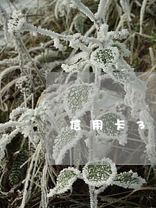信用卡3萬逾期剩幾千利息
