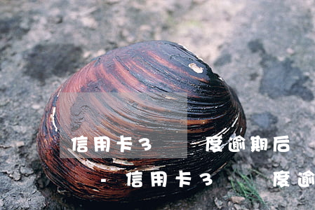 信用卡3萬額度逾期后會(huì)被起訴嗎-信用卡3萬額度逾期后會(huì)被起訴嗎知乎