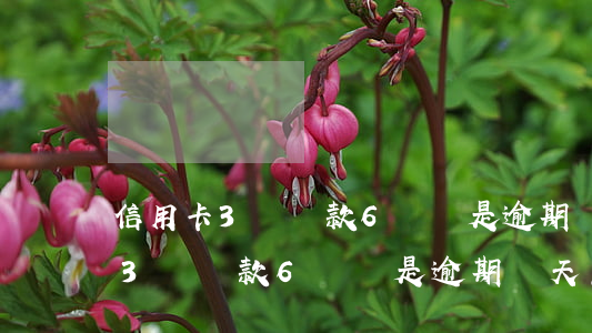 信用卡3號還款6號還是逾期幾天-信用卡3號還款6號還是逾期幾天怎么辦