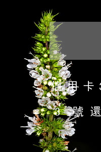 信用卡3號還款日3號還算逾期嗎-信用卡3號還款日3號還算逾期嗎怎么辦