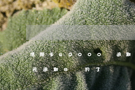 信用卡40000塊逾期了(信用卡4000元逾期8個月了)