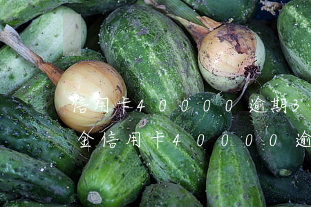 信用卡40000逾期3天應繳納多少滯納金（信用卡40000逾期）