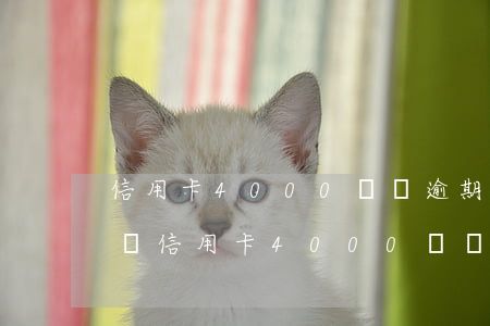信用卡4000塊錢逾期會(huì)怎么樣(信用卡4000塊錢逾期會(huì)怎么樣嗎)