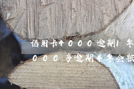 信用卡4000逾期1年被起诉(欠信用卡8000多逾期半年会被起诉吗)
