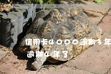 信用卡4000逾期3年多了（信用卡40萬逾期4年了）