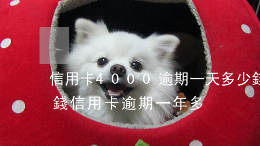 信用卡4000逾期一天多少錢（4000塊錢信用卡逾期一年多）