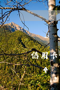 信用卡4000逾期三個月（信用卡有一次小額4個月逾期）