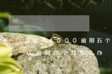 信用卡4000逾期五个月(欠信用卡5000逾期四个月怎么办)