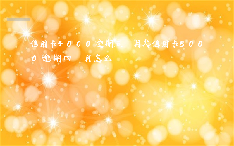 信用卡4000逾期五個月(欠信用卡5000逾期四個月怎么辦)