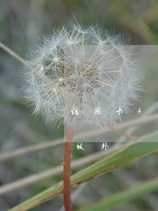 信用卡4000逾期（信用卡逾期1600會被外訪嗎）