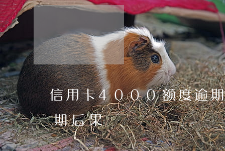 信用卡4000额度逾期(信用卡4000逾期后果)