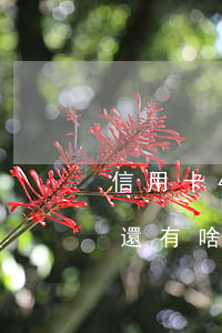 信用卡400不還會怎么樣(信用卡40萬不還有啥后果)