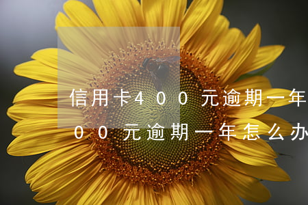 信用卡400元逾期一年怎么办-信用卡400元逾期一年怎么办理
