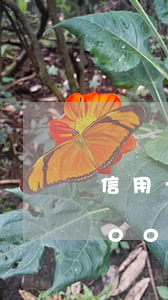 信用卡400塊錢逾期影響征信-信用卡400塊錢逾期影響征信嗎