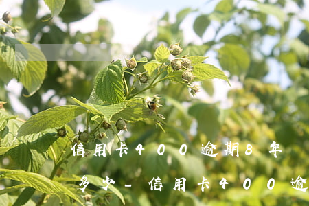 信用卡400逾期8年應(yīng)該還多少-信用卡400逾期8年應(yīng)該還多少錢(qián)呢