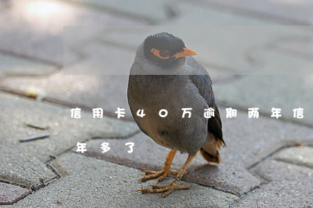信用卡40万逾期两年(信用卡4千多逾期一年多了)