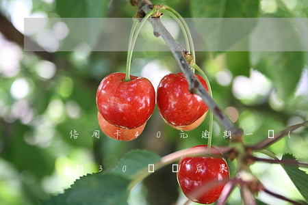 信用卡40元逾期一個(gè)月(信用卡逾期30塊錢后果)