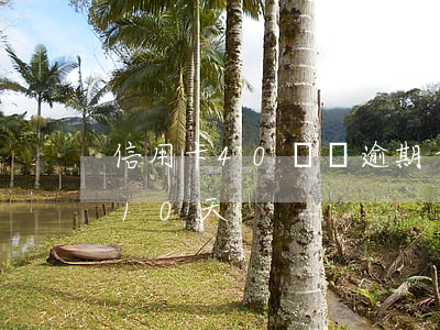 信用卡40塊錢逾期十天（信用卡逾期50元10天）